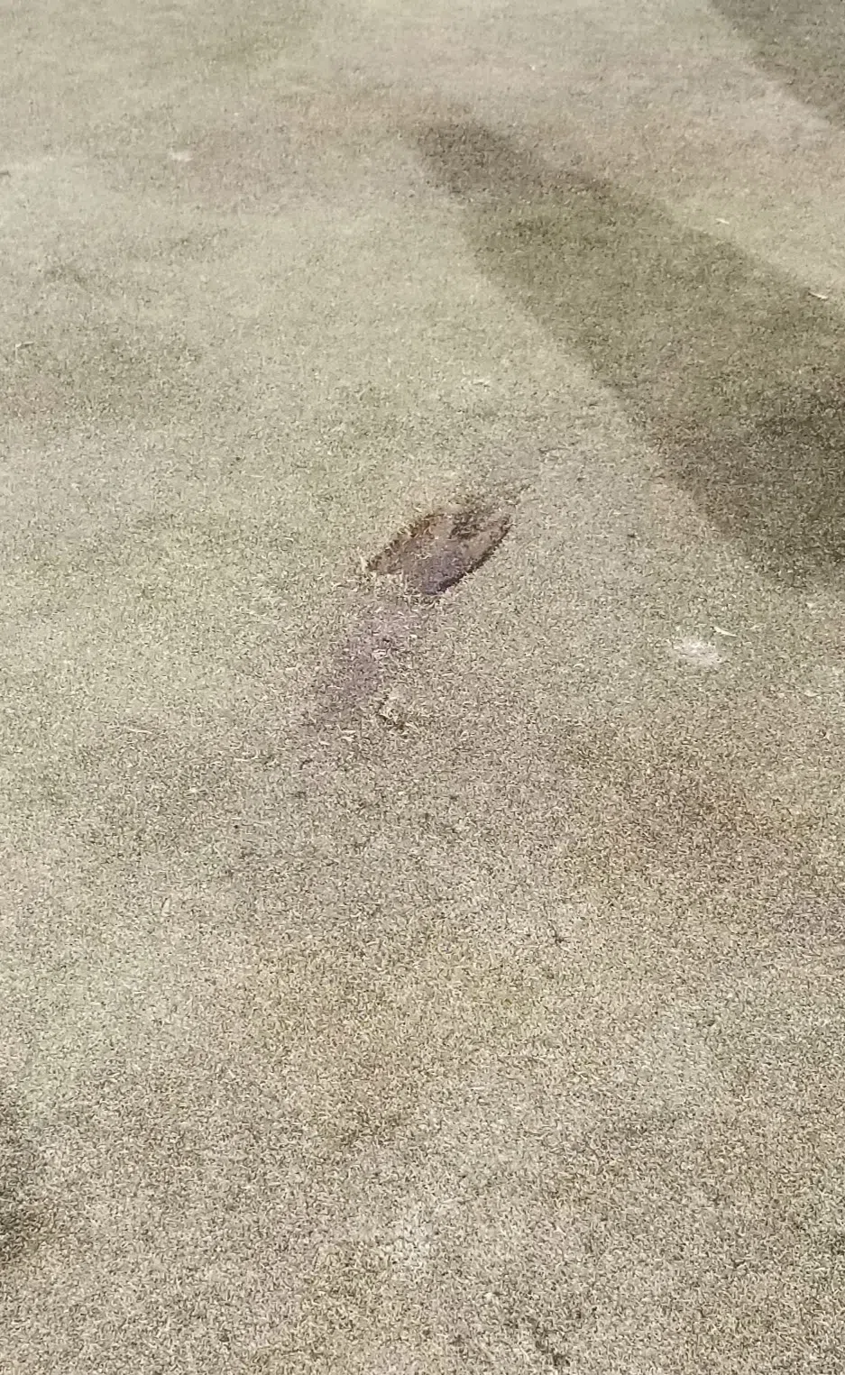 Photo courtesy Westfield Golf Course