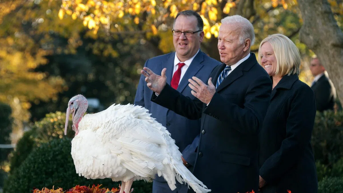 Northfield turkey will be pardoned at annual White House ceremony Winona Radio