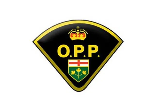 TWO WELLINGTON COUNTY OPP OFFICERS TEST POSITIVE FOR COVID-19