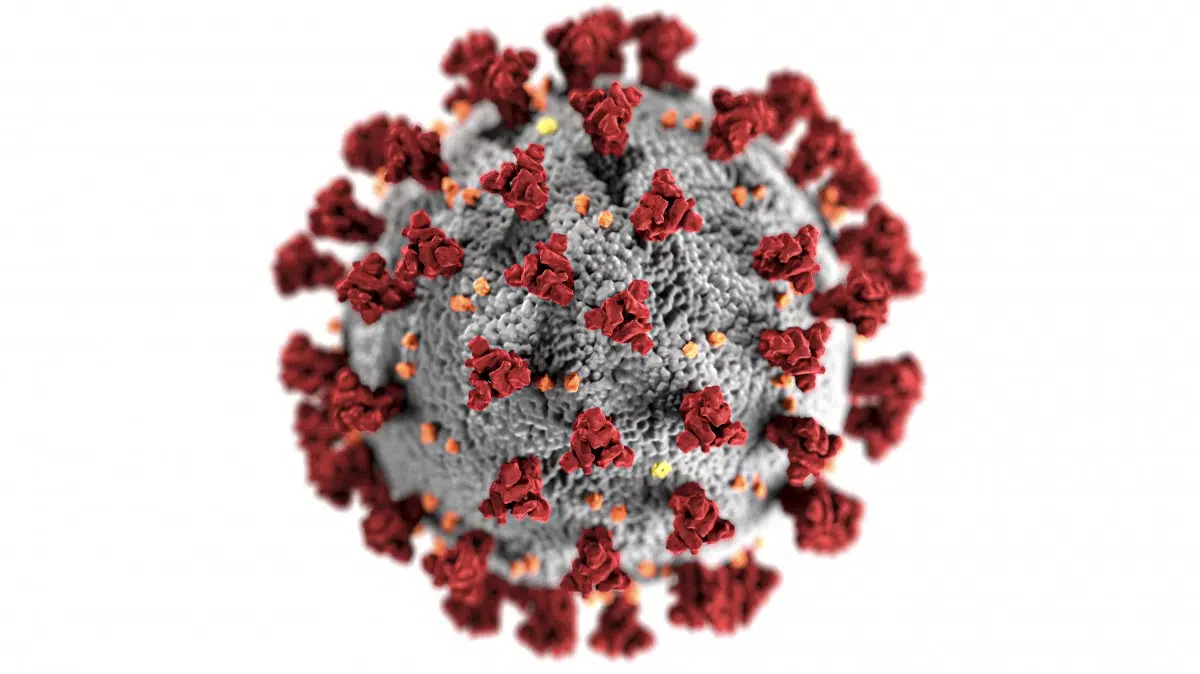 Ontario Expanding Eligibility for COVID-19 Antiviral Treatments and PCR Testing to More High-Risk Individuals
