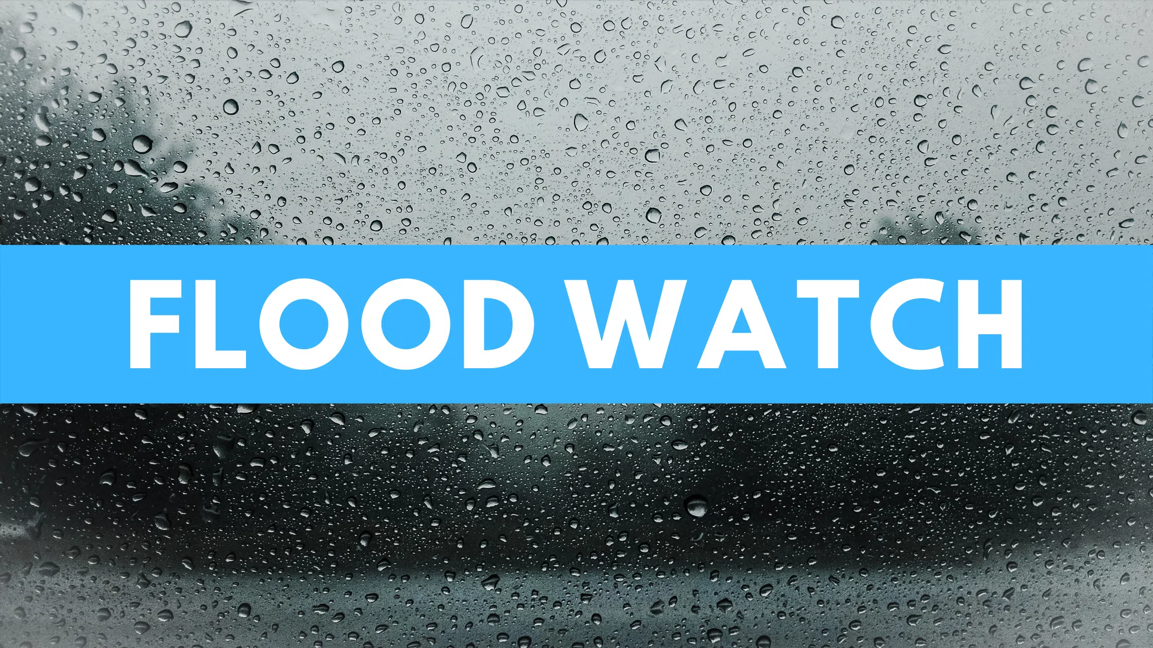Grand River Conservation Authority Issues Flood Watch for Entire Watershed