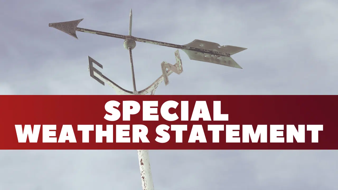 Strong Winds Expected Friday: Environment Canada