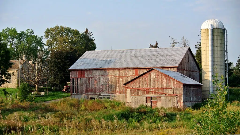 Ontario's Dairy Farmer Training Program to Flow Through Guelph's Ridgetown Campus