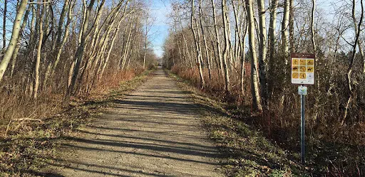 Credit Valley Conservation Approves Town of Erin Infrastructure Work Along Elora Cataract Trailway