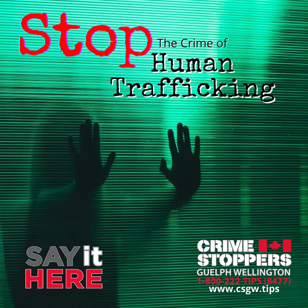 'Stop The Crime of Human Trafficking' Theme for Crime Stoppers Month 2022
