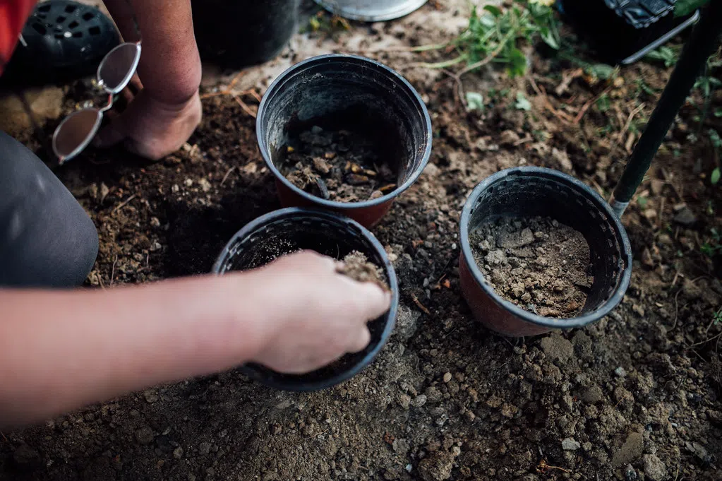 Centre Wellington Native Plant Gardening Hosting Planting Bee May 24th in Elora