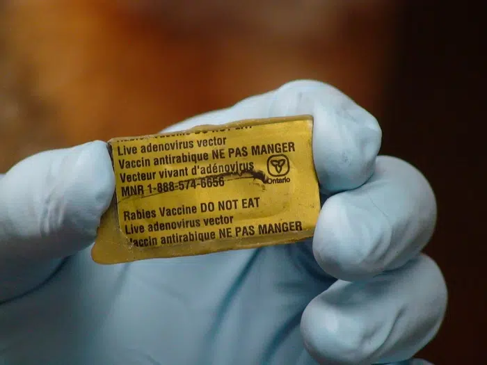 Wellington County to be Part of Rabies Vaccine Bait Drop Program