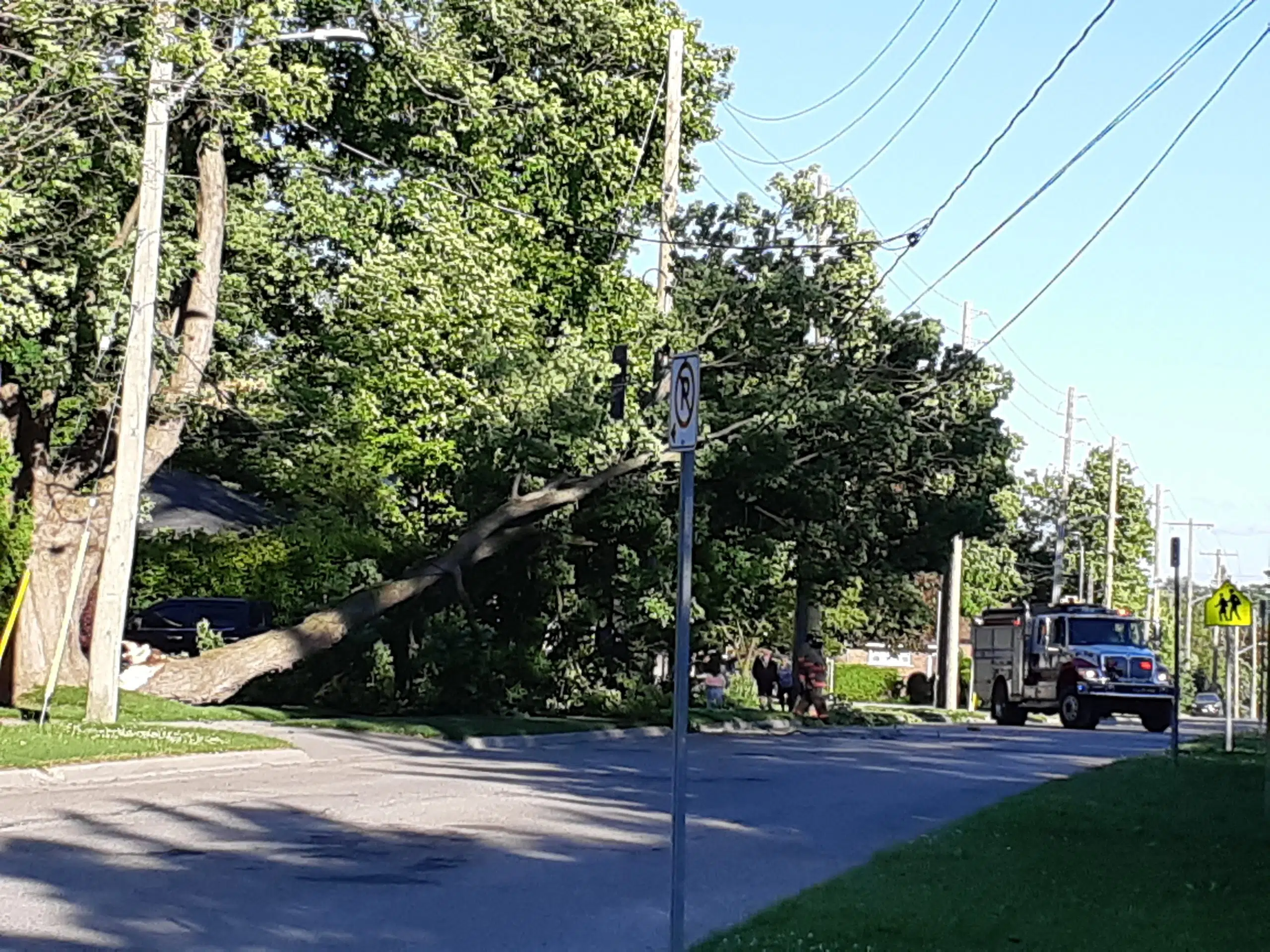 UPDATE: Power Restored to Fergus Residents After Tree Limb Falls on Hydro Lines
