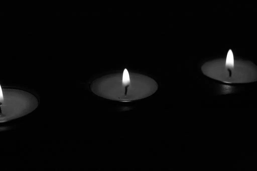 UPDATE: Power Restored in Mount Forest Following Feeder Break in Palmerston