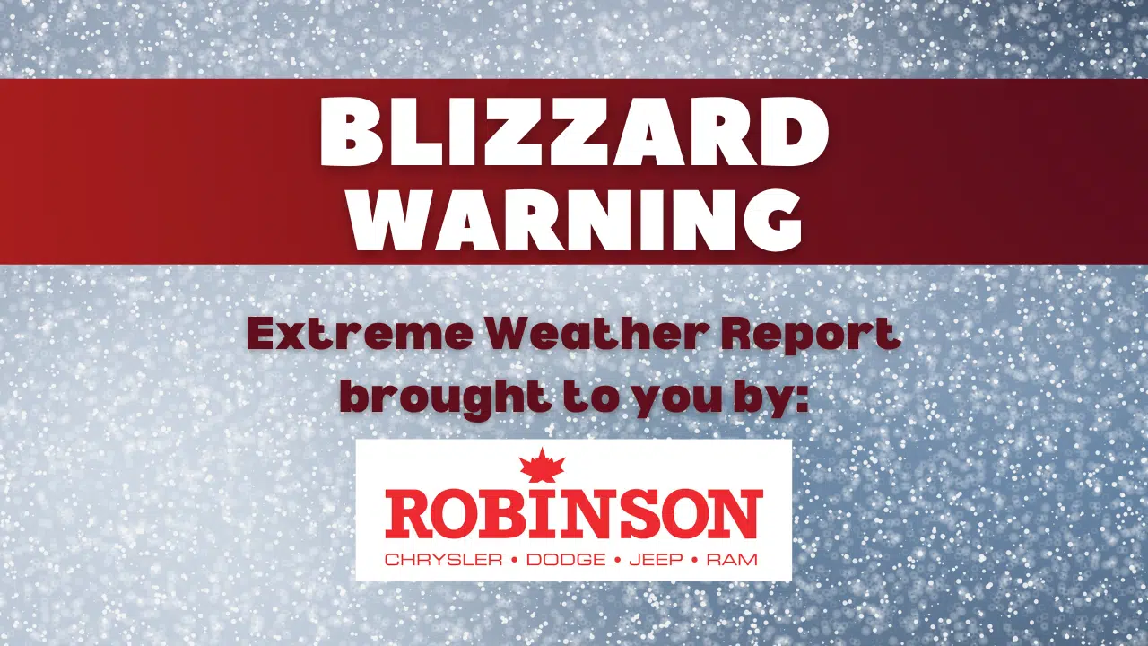 Blizzard Warnings and Winter Storm Warnings for Wellington County