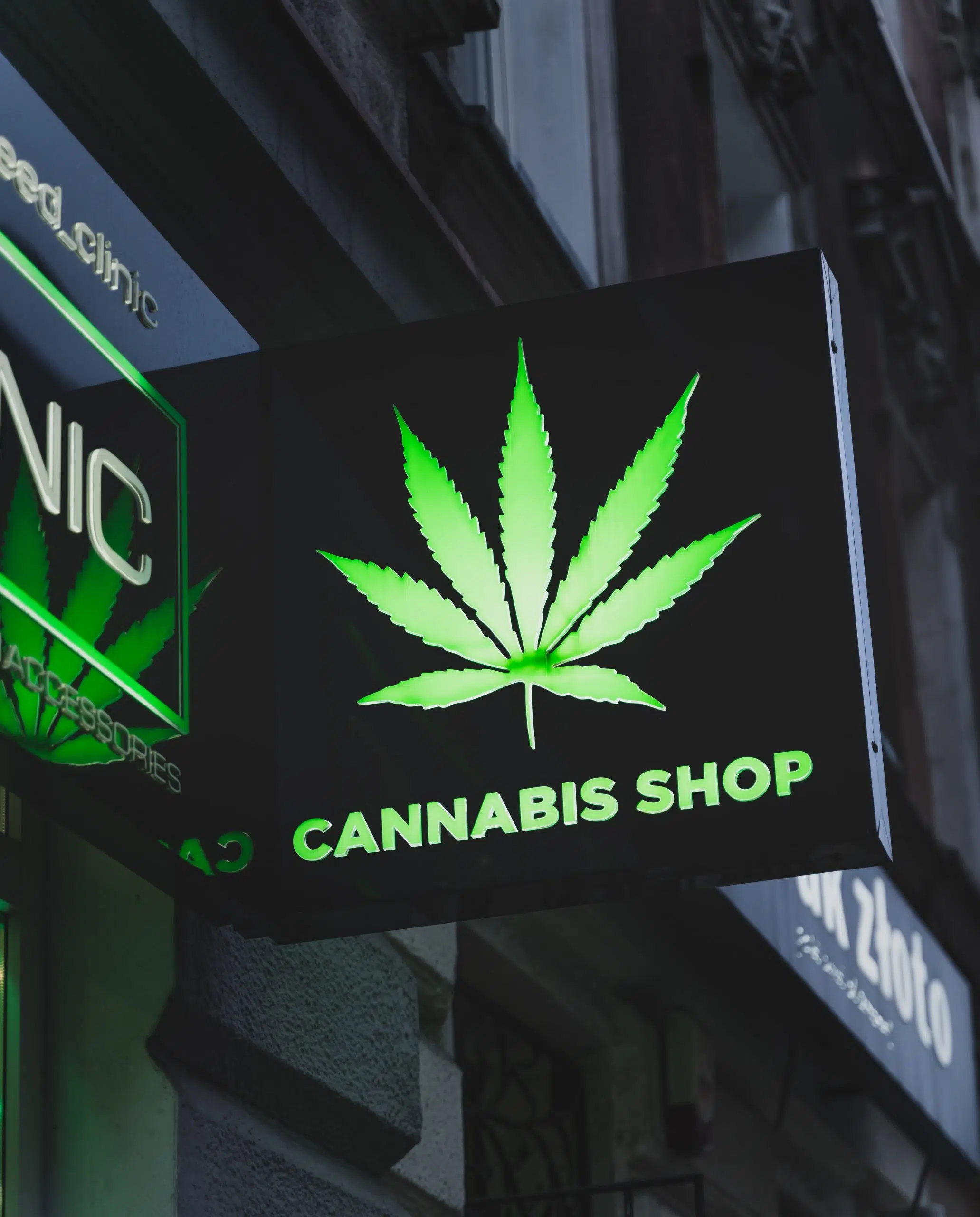 Delegation Seeks Centre Wellington to Opt In to Allow Legal Cannabis Stores