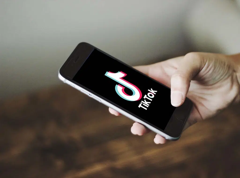 Ontario Bans TikTok App from Government Devices