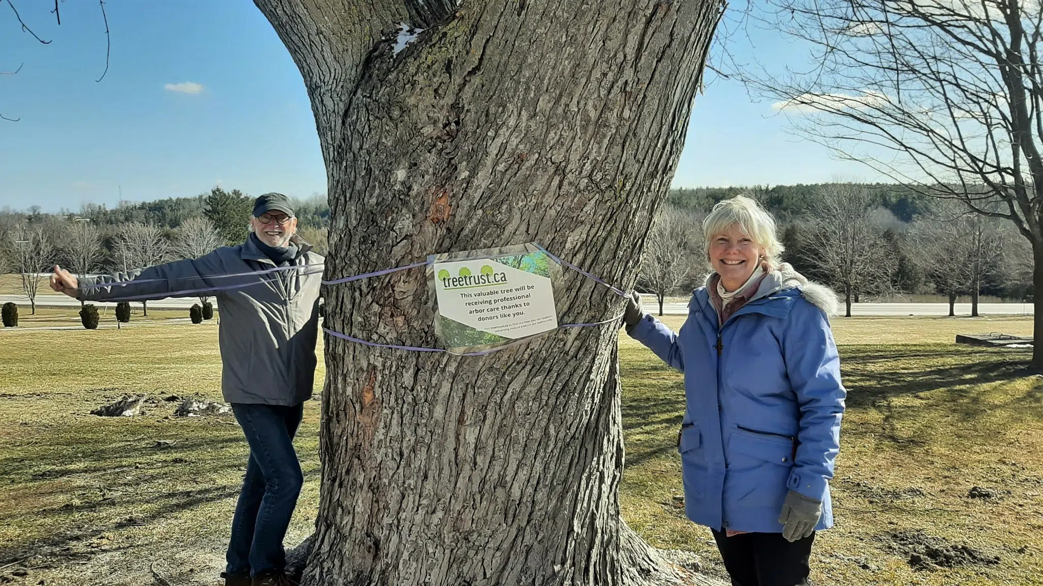 Tree Trust invites local community members to nominate "Tree of the Year"