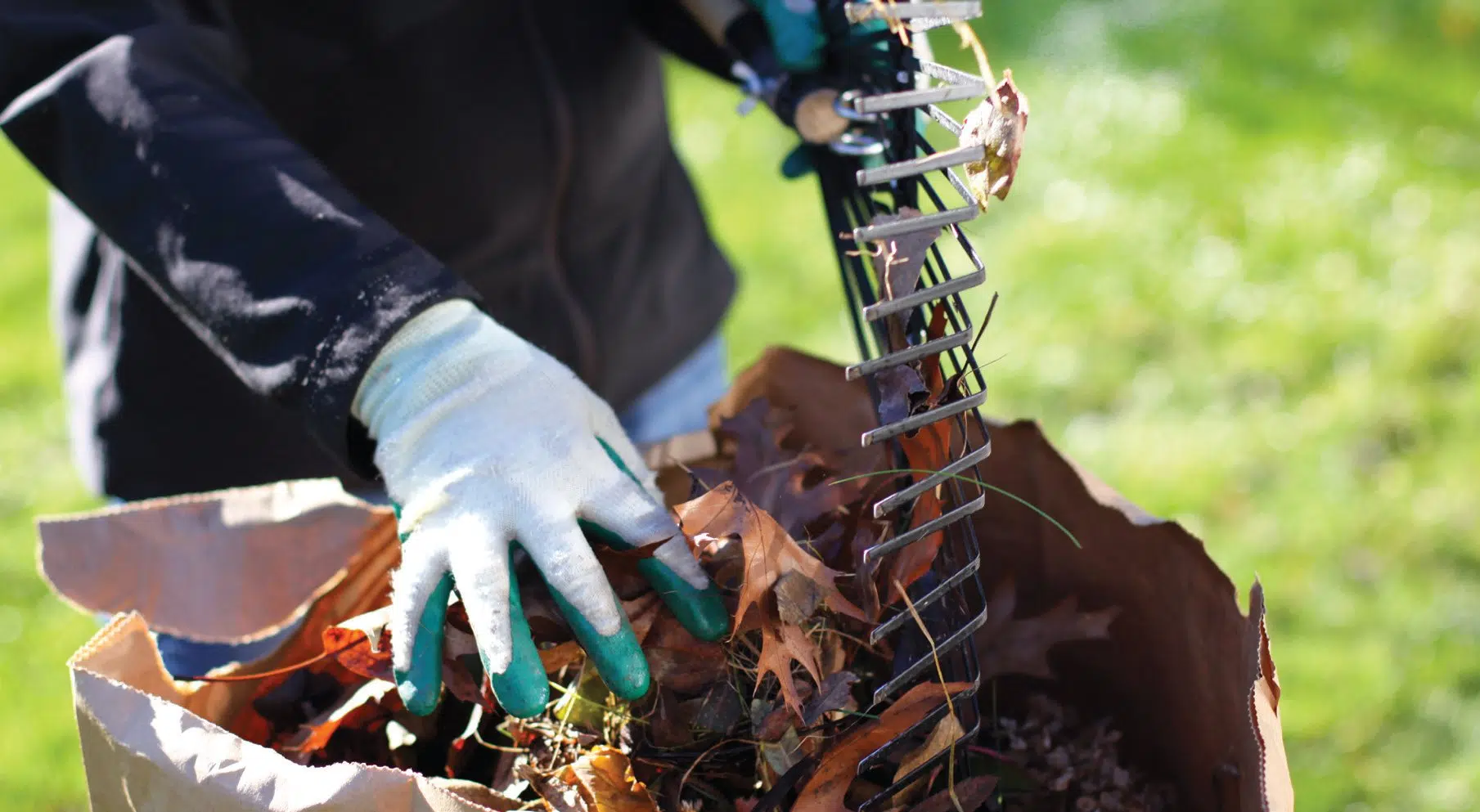 Curbside Leaf and Yard Waste Collection Continues This Weekend in Wellington County