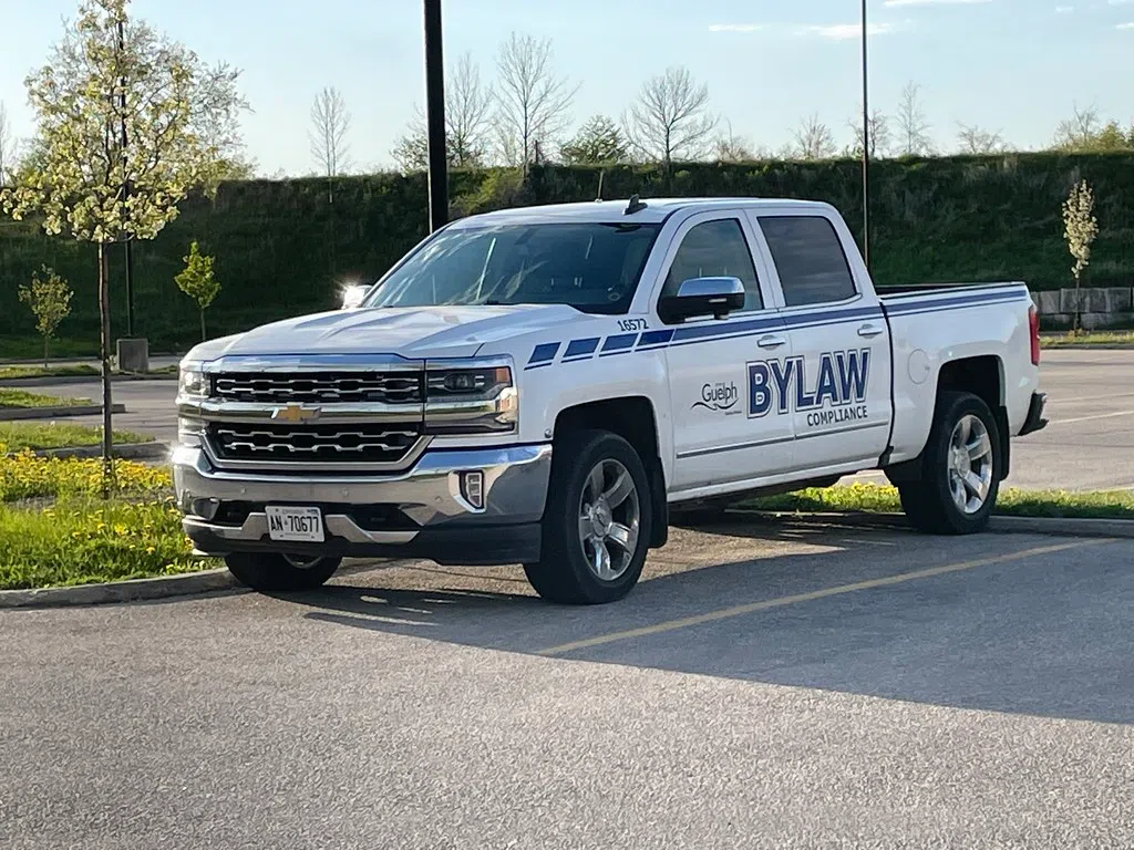 Wellington North Bylaw Enforcement May Continue Through City of Guelph: report