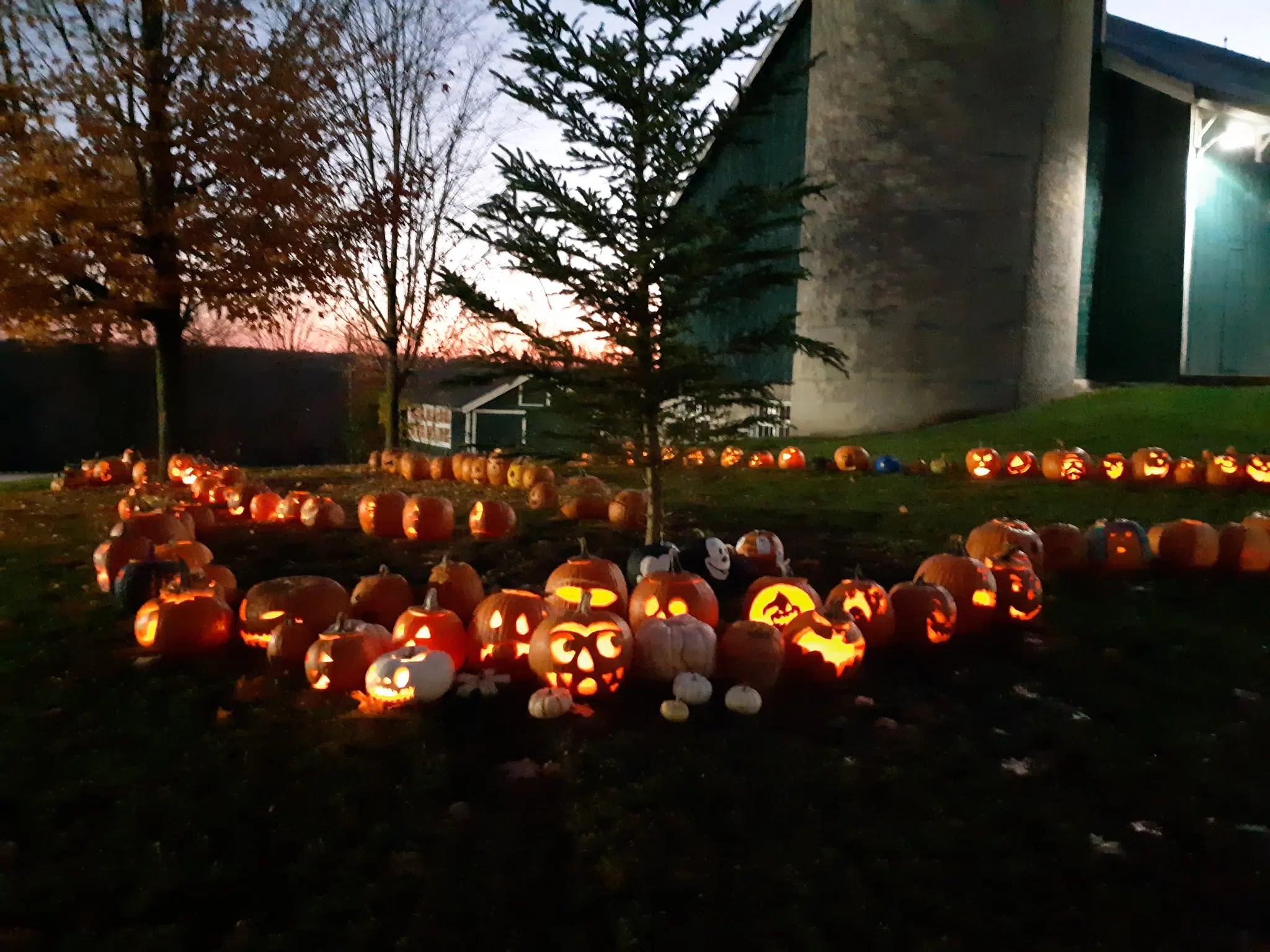 Wellington County Museum & Archives Holding "Pumpkin Walk" Saturday