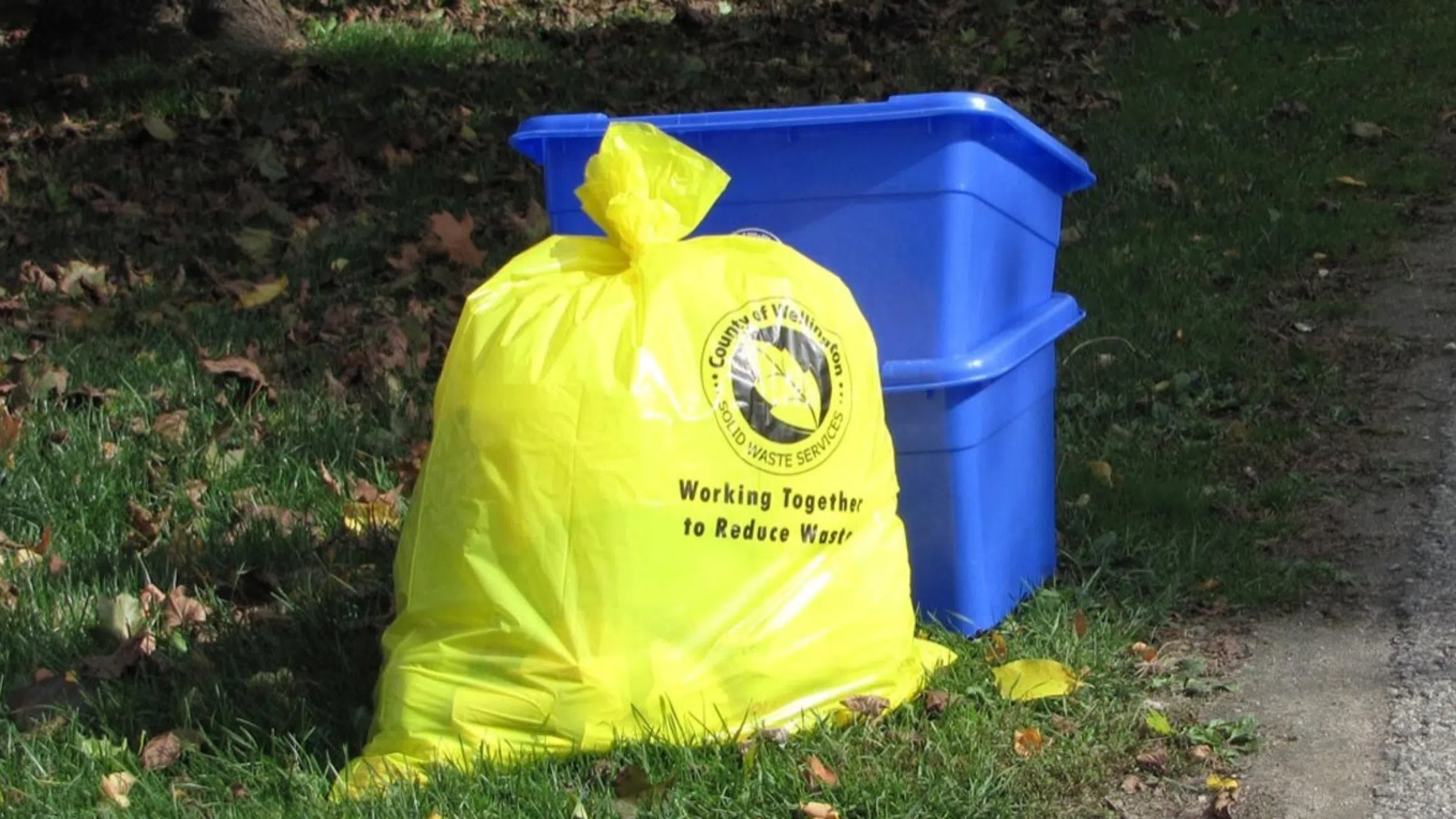 Township Staff Recommend Additional Waste Collection for Downtown Arthur and Mount Forest