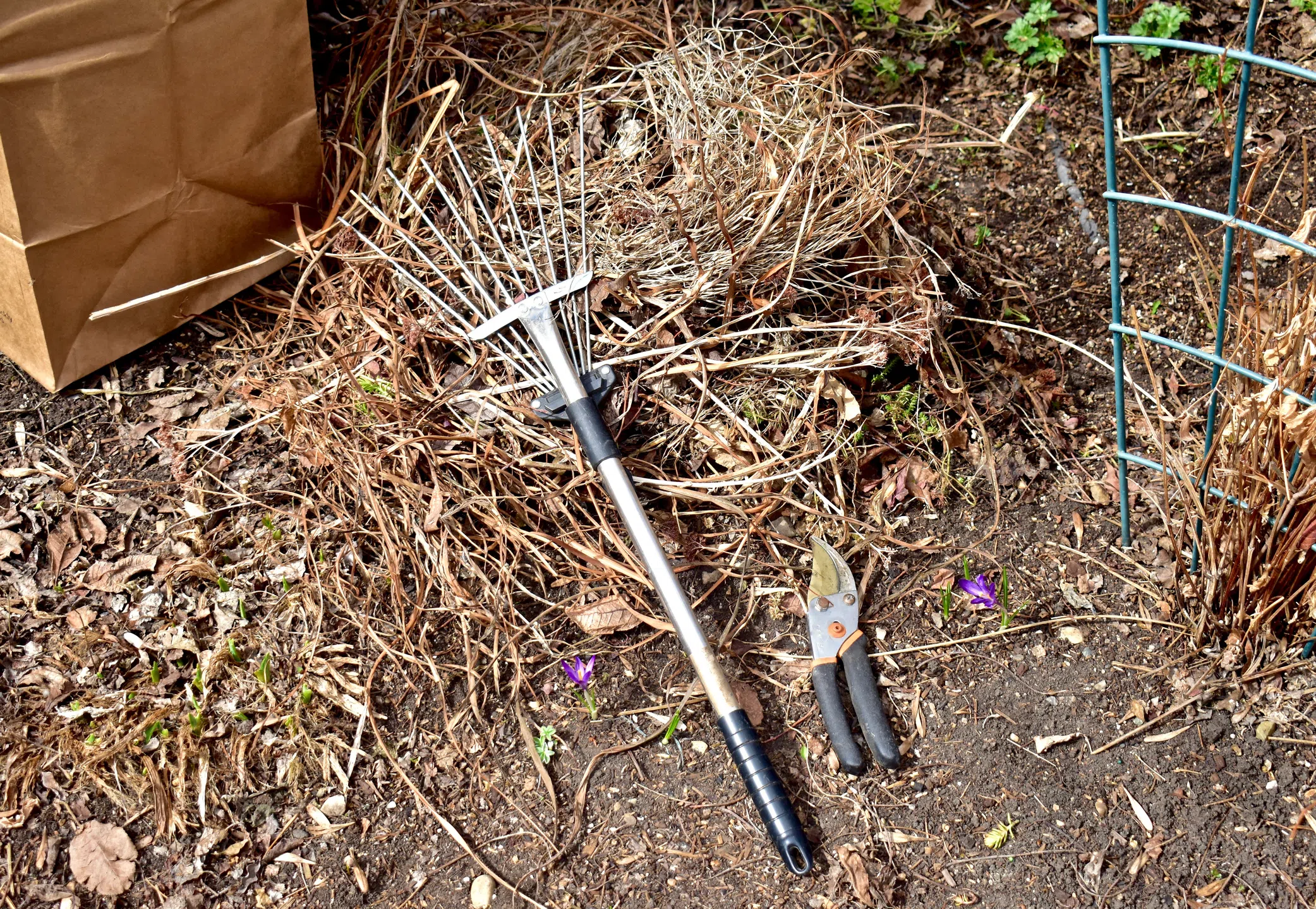 Wellington Waste Accepting Yard Waste in April