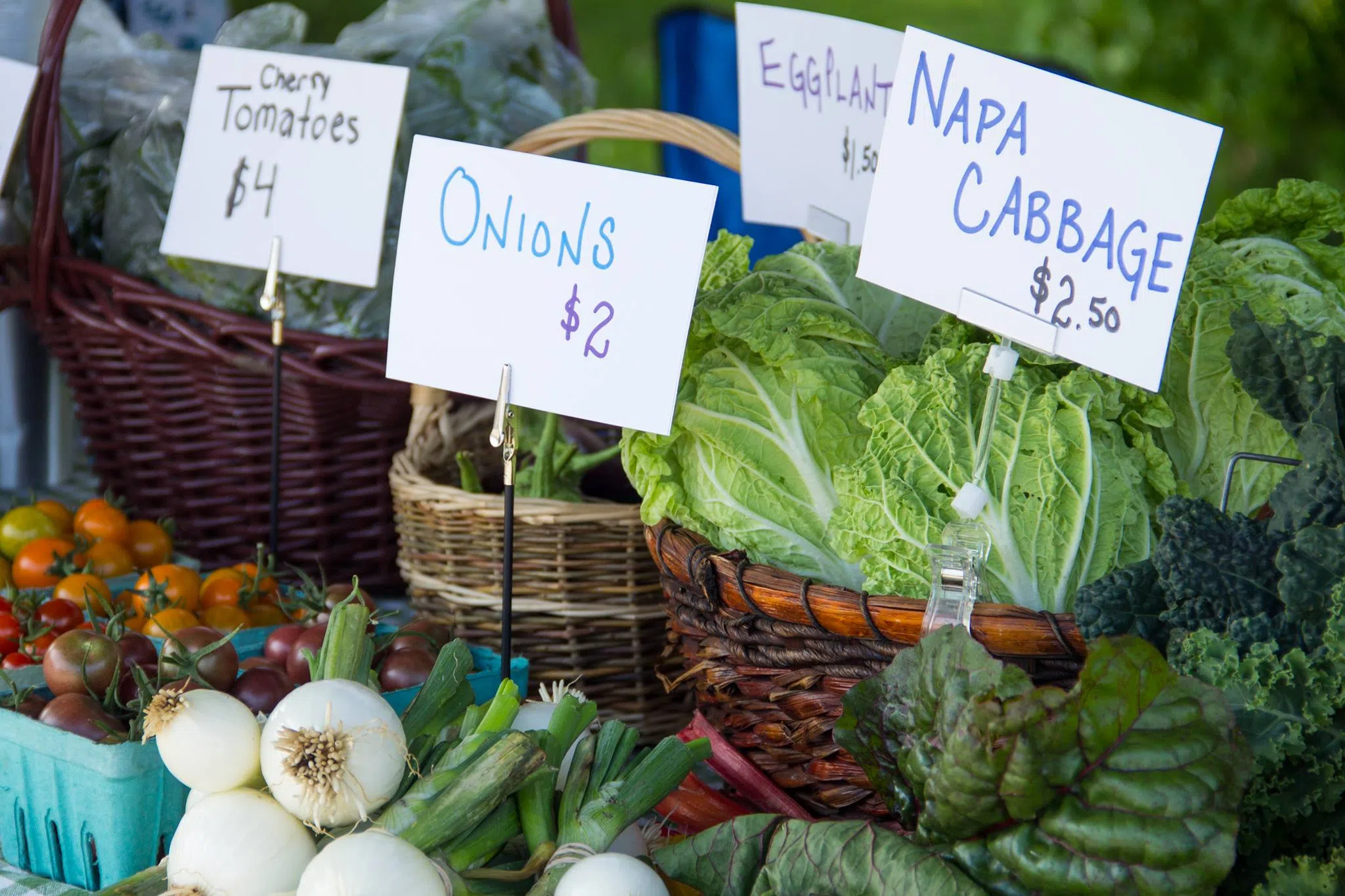 2025 Wellington North Farmers' Market Gets Underway June 14 at New Location