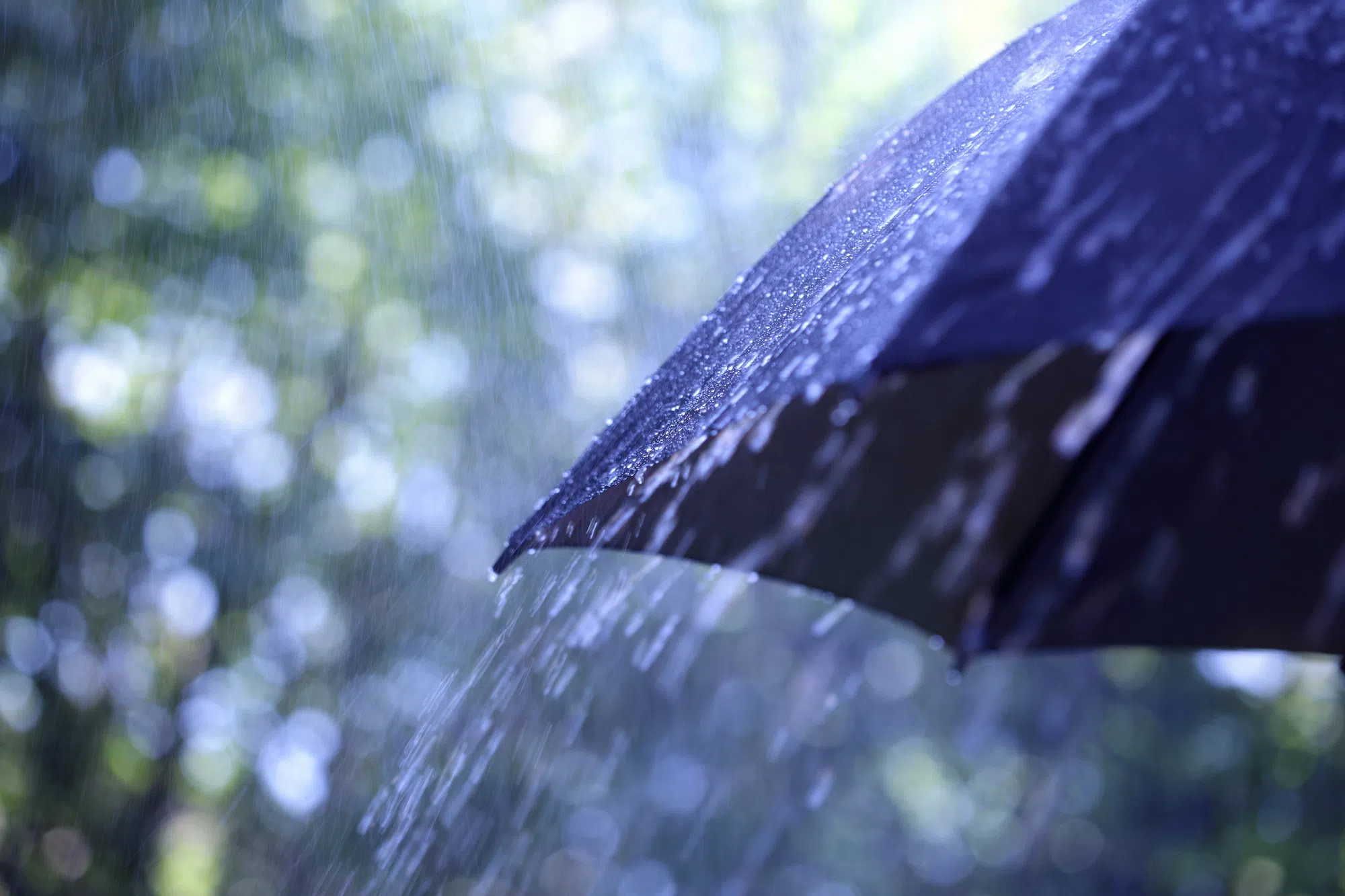 Significant Rainfall Possible this Weekend with 20 to 40 mm: Environment Canada