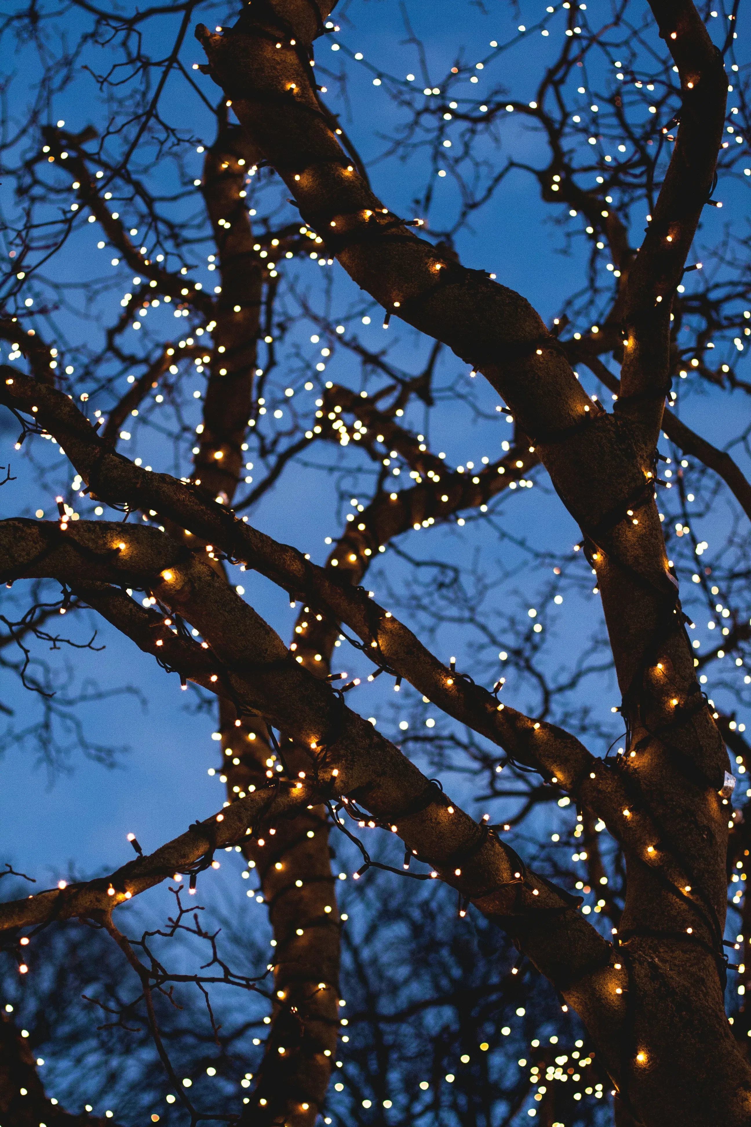 Centre Wellington approves agreement to light up Elora's Green Space despite concerns it's "excessive"