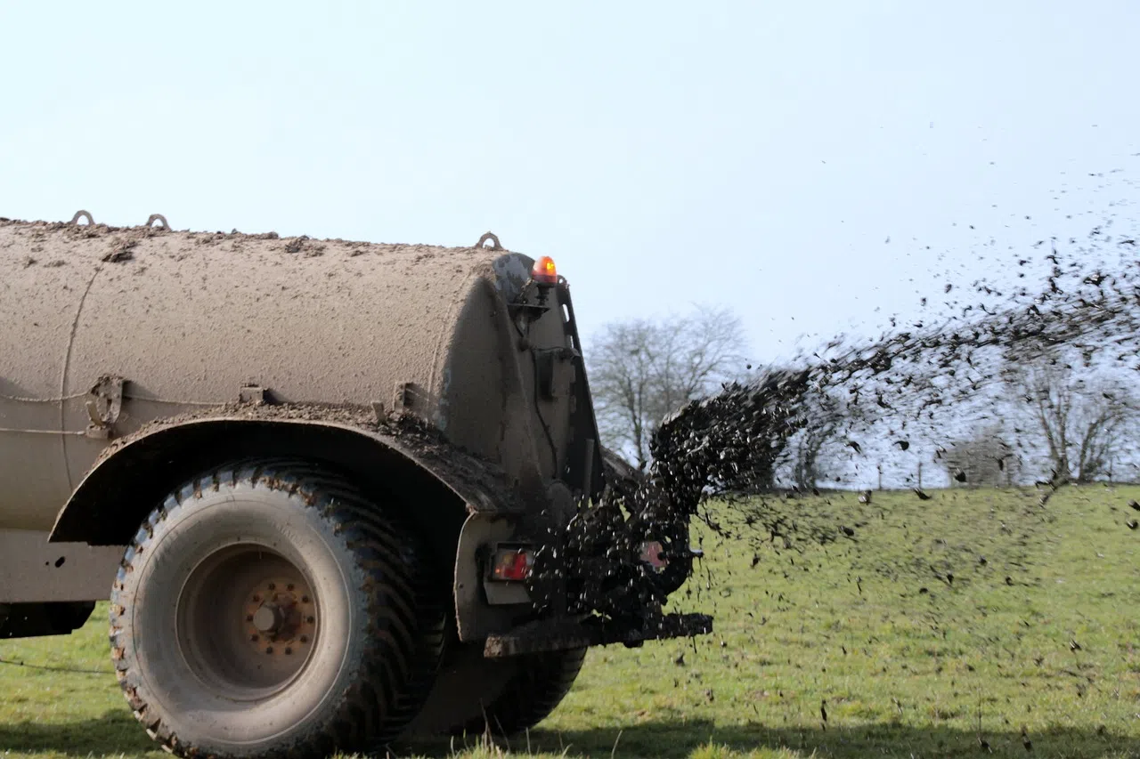 Centre Wellington to allow manure to be piped under road allowances