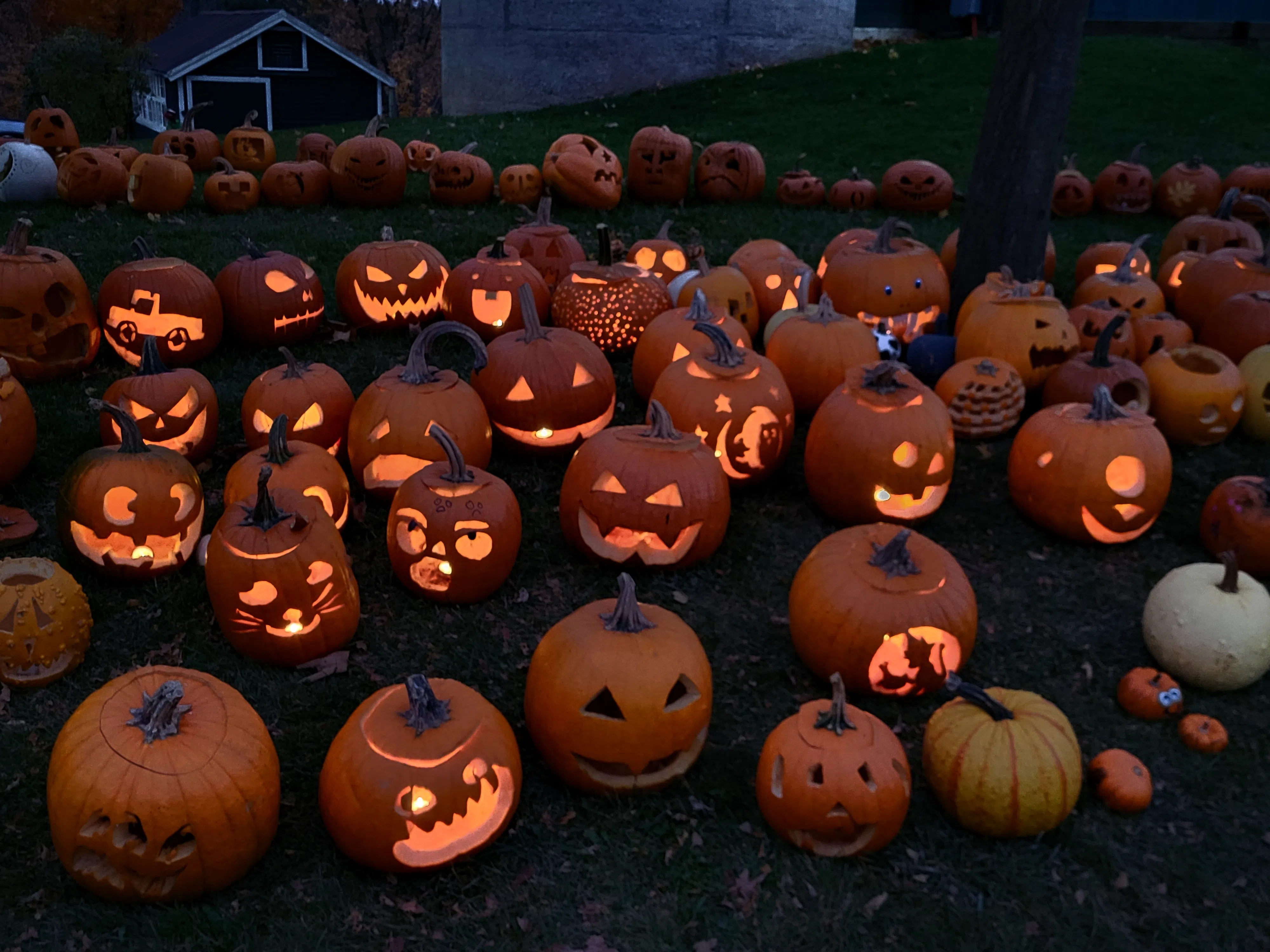 Halloween Festivities at the Wellington County Museum and Archives