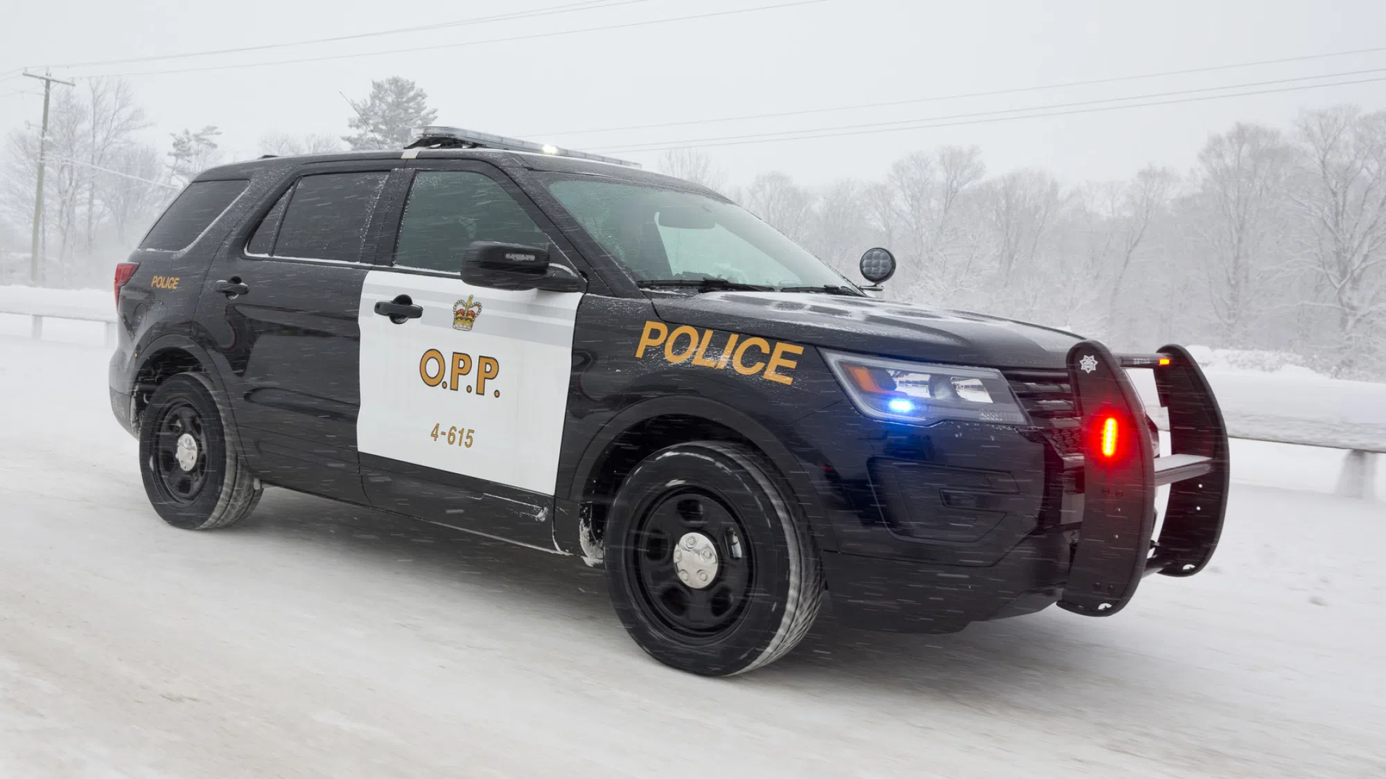 OPP Identify Individual in Monday's Fatal Collision Near Clifford