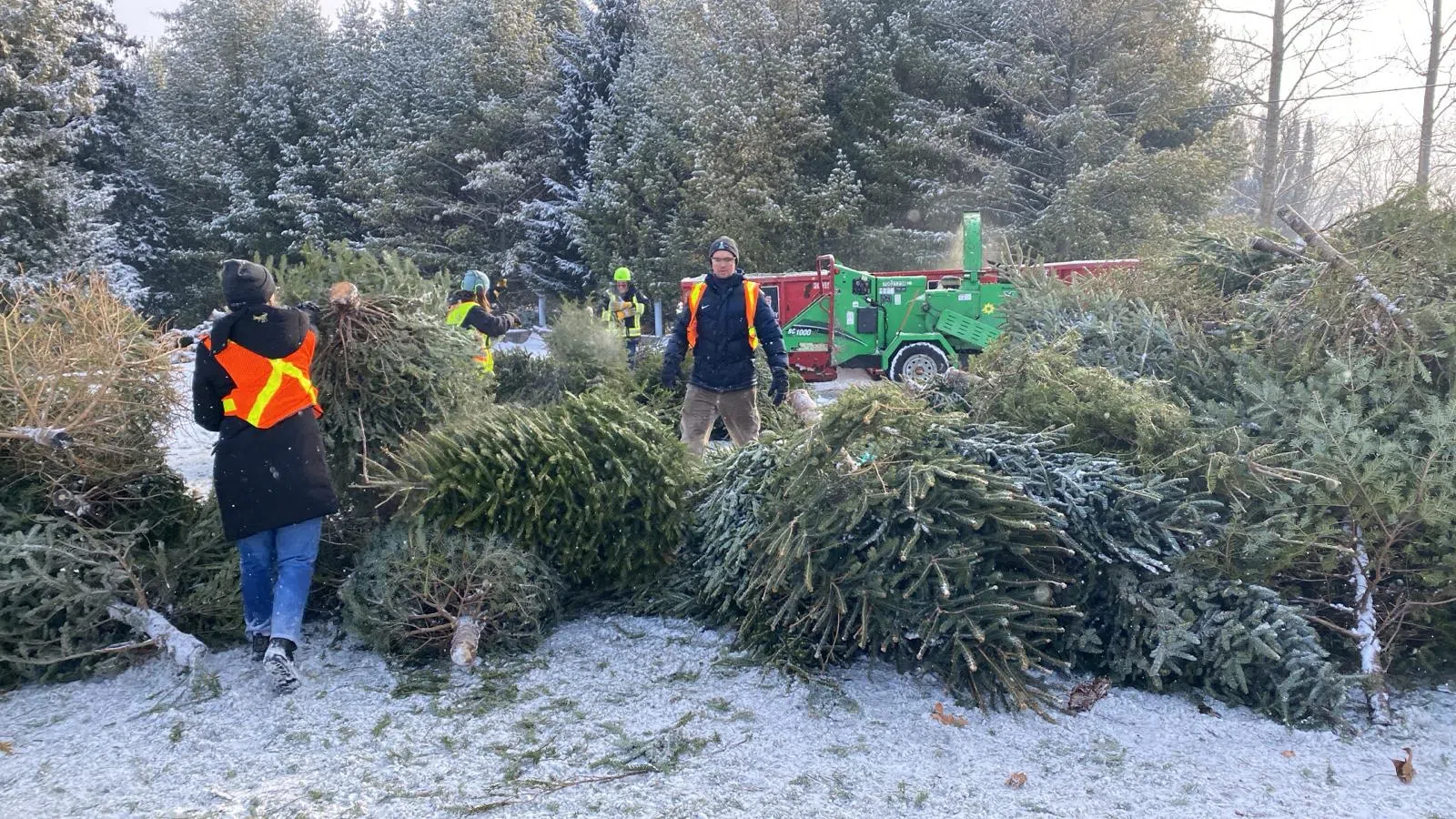 Over $85,000 Raised During Annual "Tree for Tots" Community Fundraiser