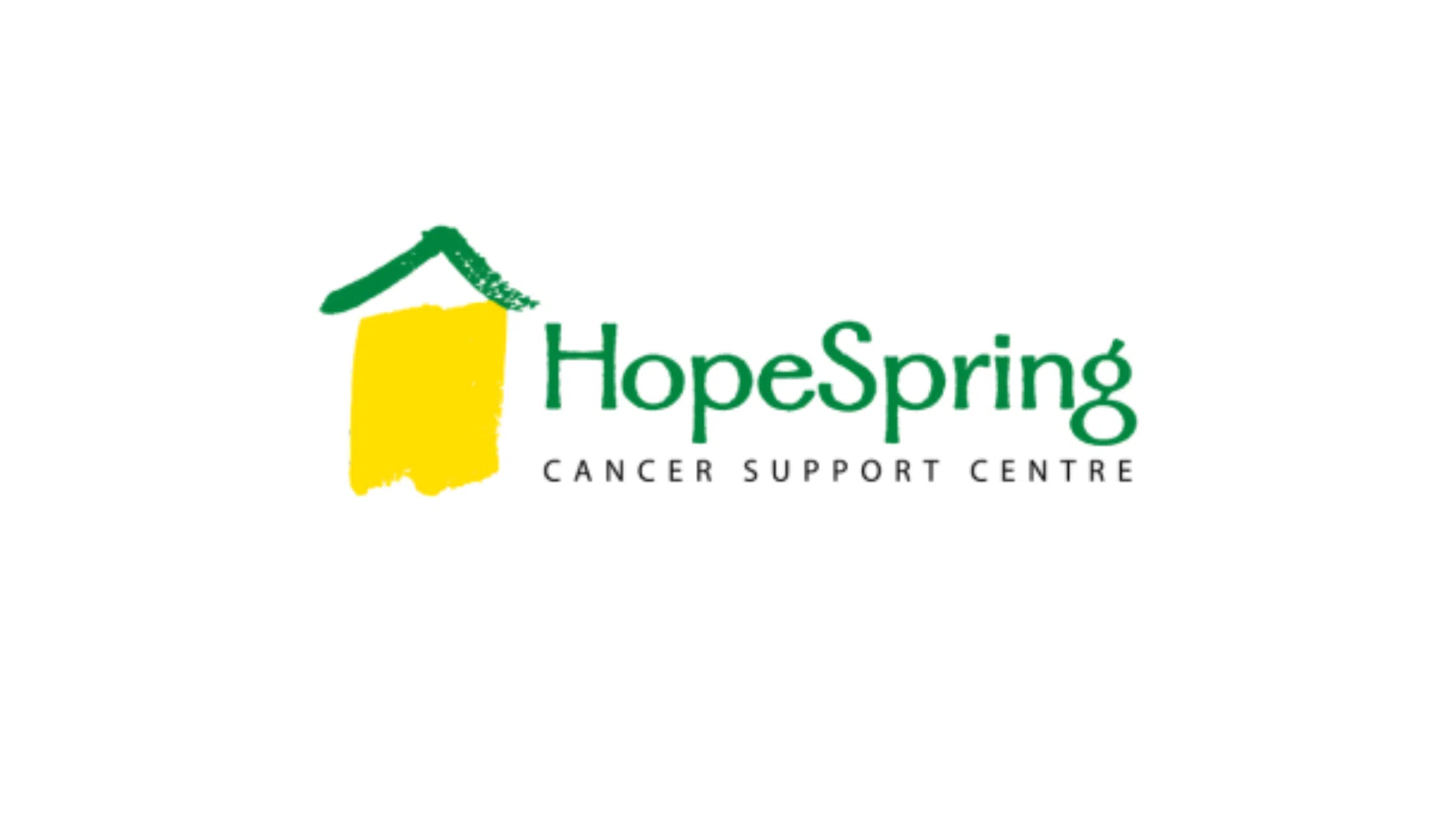 Billie & Friends Interview Shawn from HopeSpring Cancer Support Centre