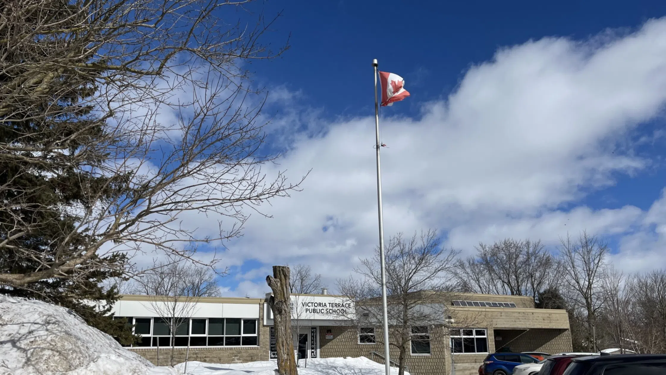 UGDSB Hoping to Cut Ties with American Suppliers Amid Tariffs on Canadian Goods