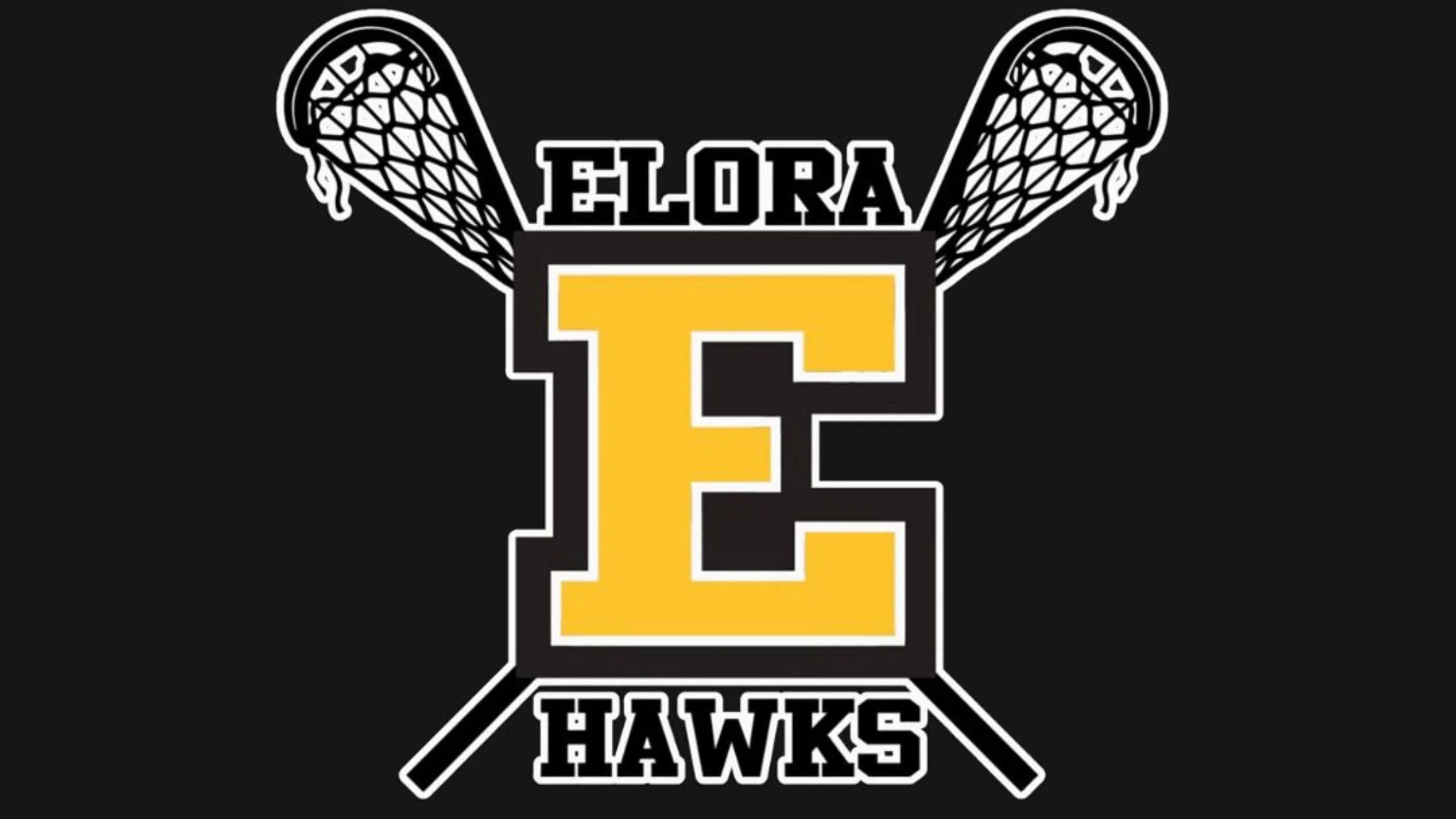 Local Businesses Unite to Support Elora Hawks Lacrosse Team