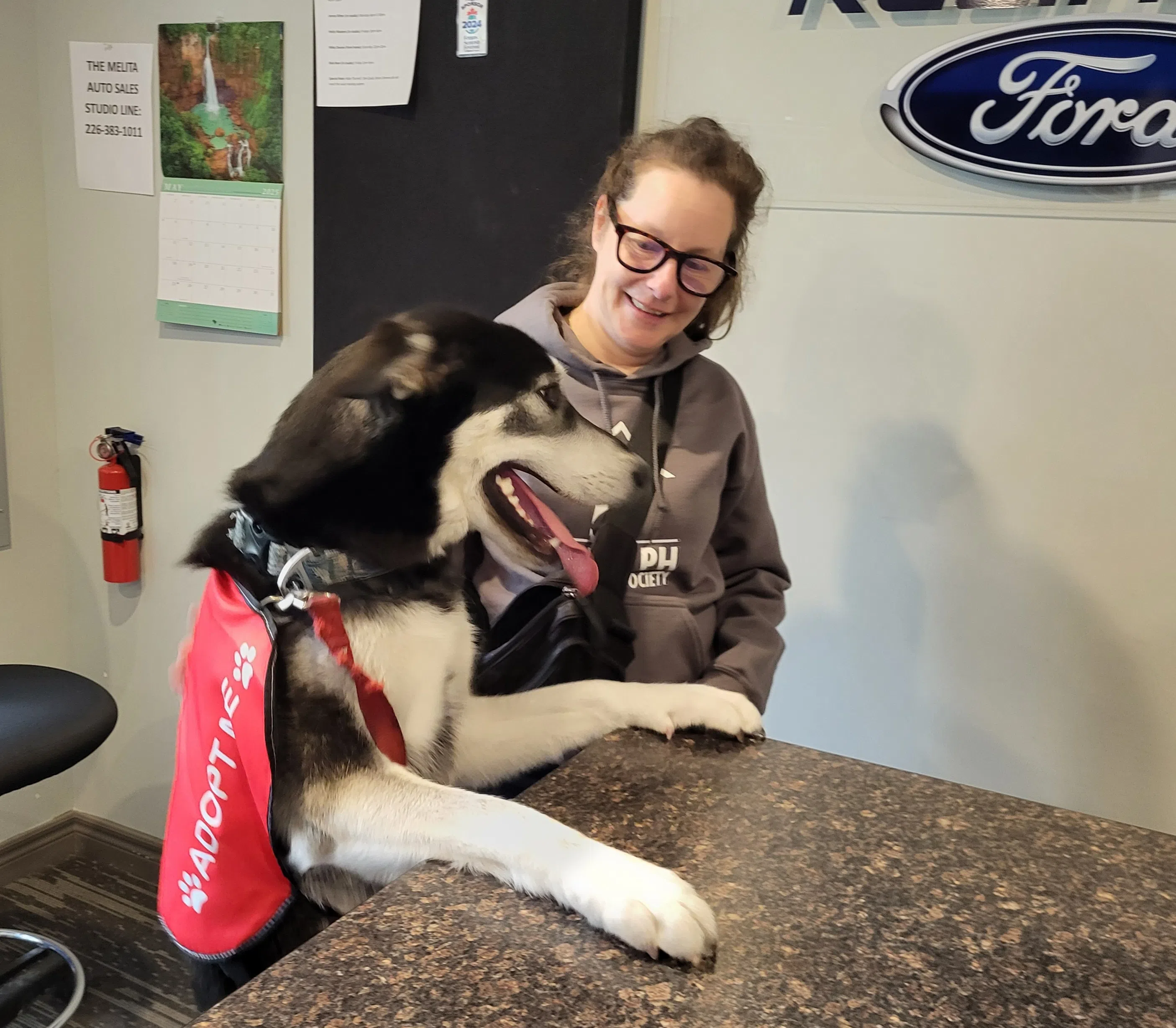 VIDEO: Pet of the Week with Billie & Friends brought to you by The Great Canadian Dog Food!