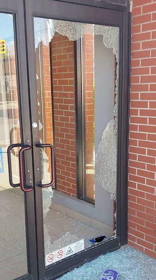 Vandalism Spree Results in Arrest
