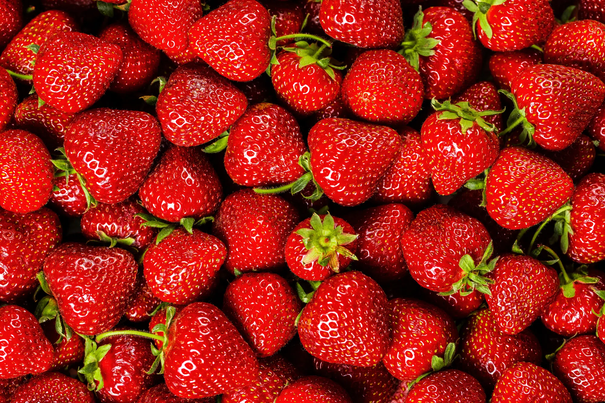 Wellington County Museum and Archives Hosts 2nd Annual Strawberry Festival Saturday