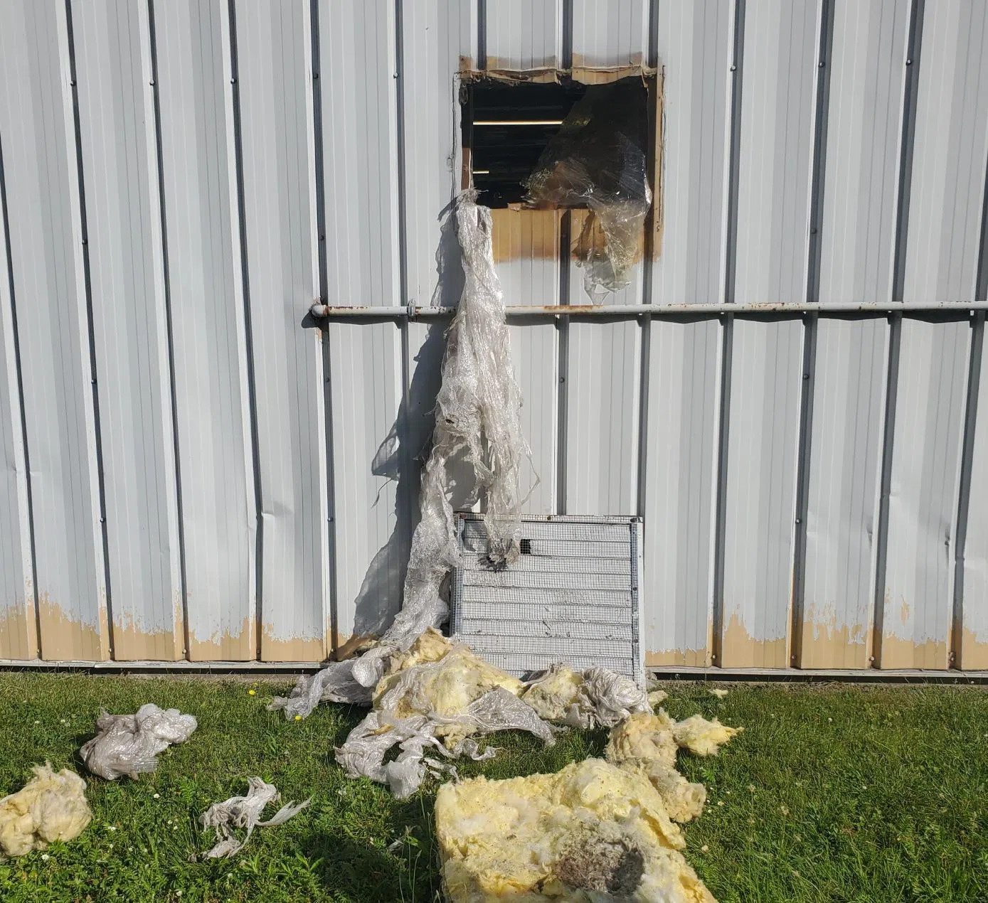 Wellington County OPP Investigating Break and Enter in Mount Forest