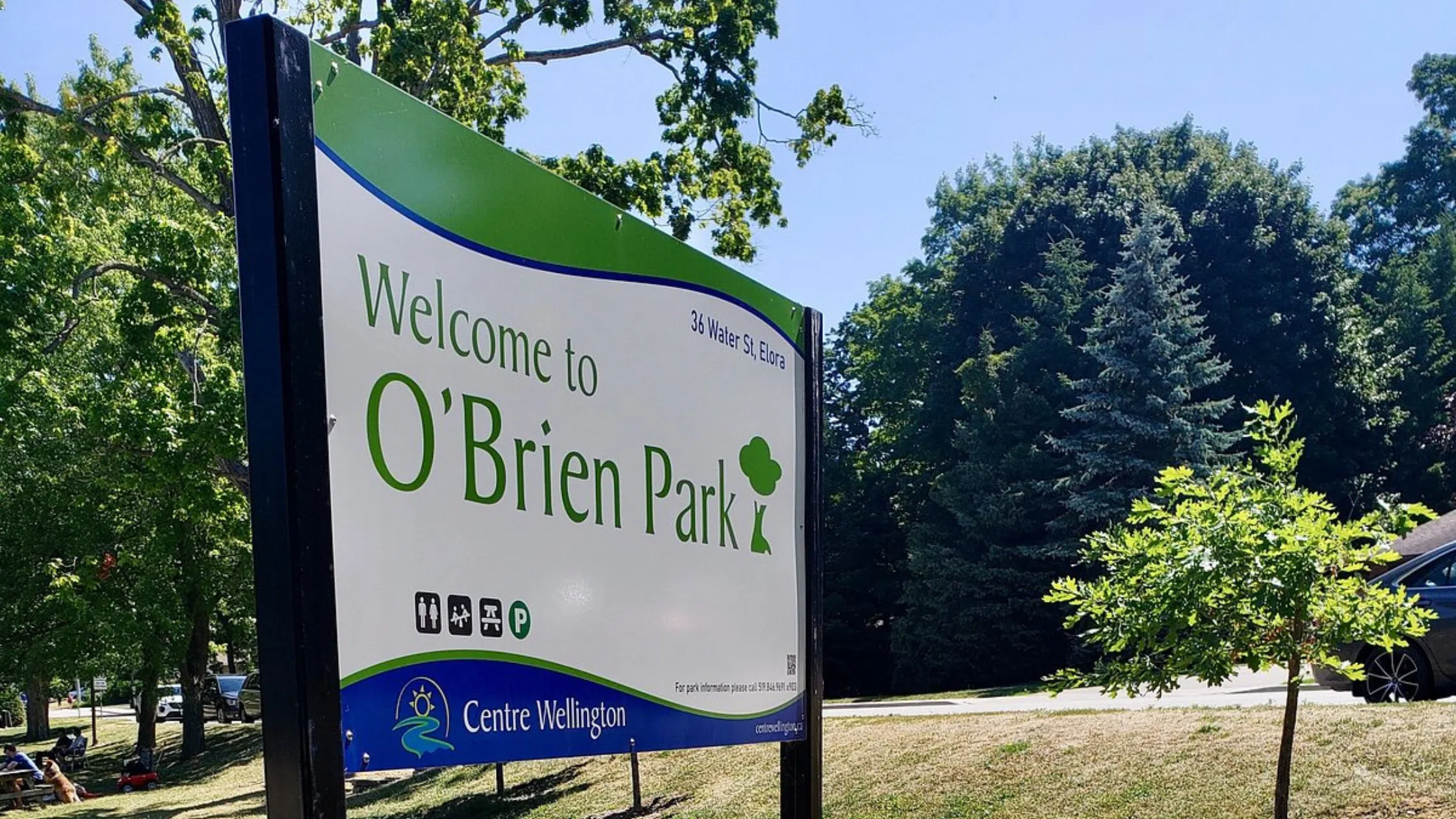 O'Brien Park in Elora to Temporarily be Closed for Removal of Declining Tree