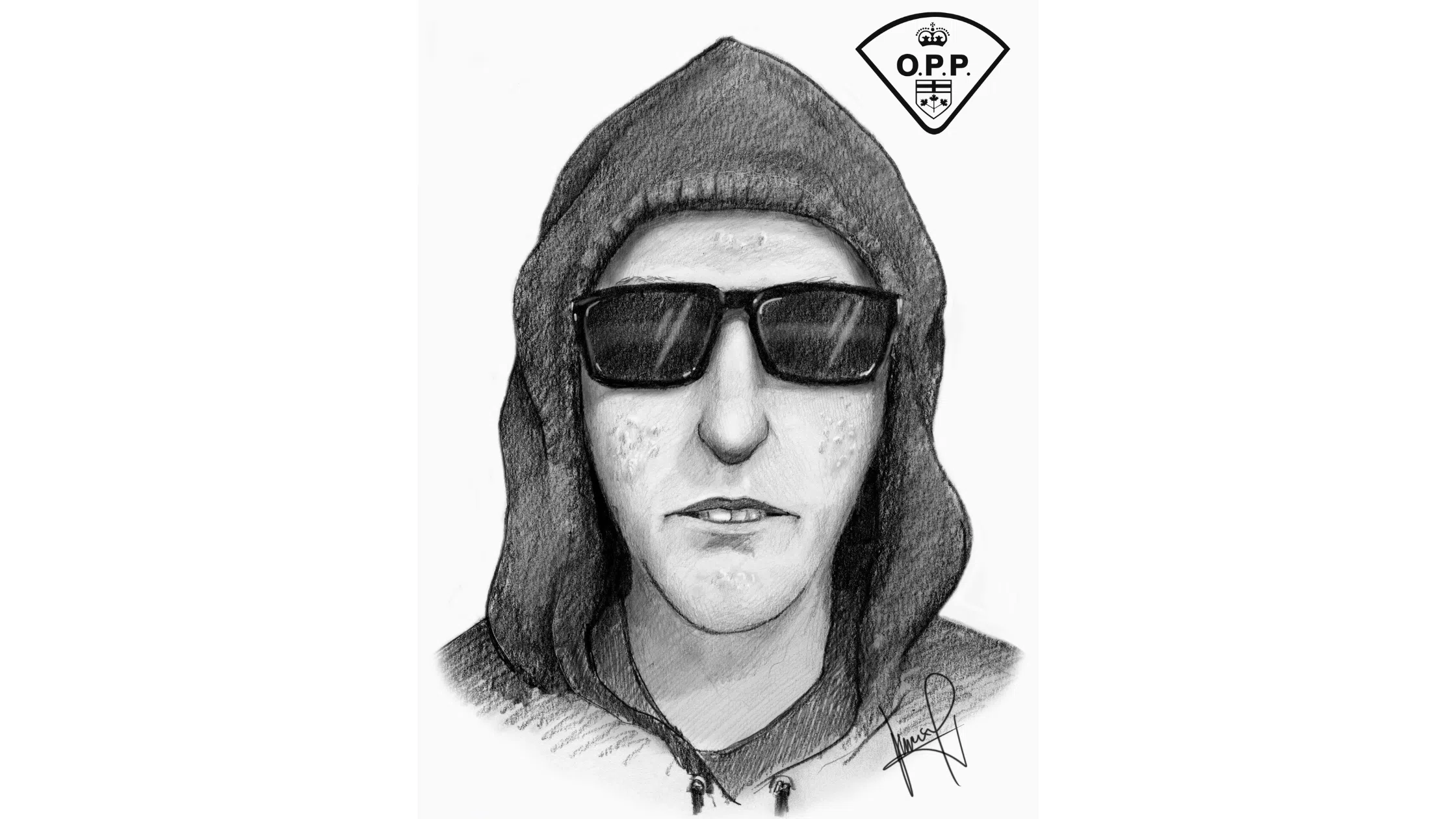 Wellington County OPP Seeking Public Assistance in Sexual Assault Investigation