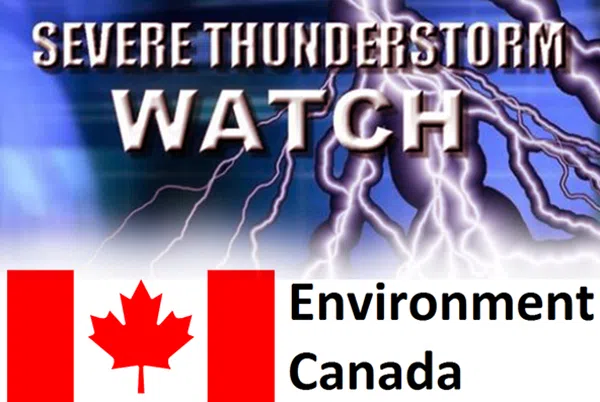 Severe Thunderstorm Watch in Effect For Guelph, Erin and Wellington County