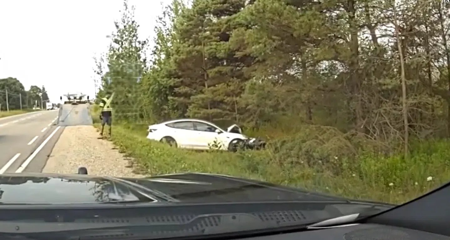 Collision With Tree Leads to Charge