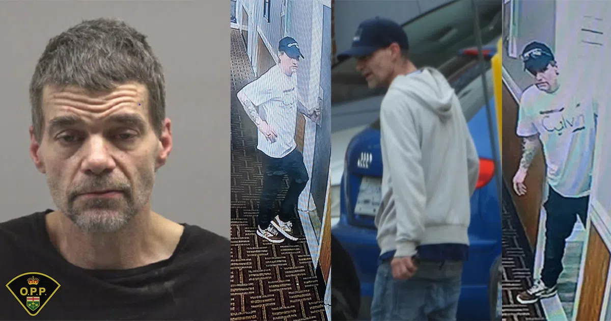 UPDATED: Public Assistance Requested for Wanted Individual, Three Arrested
