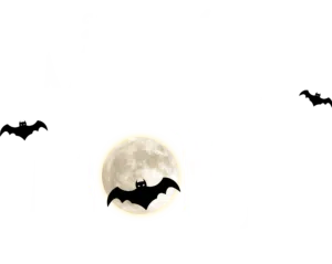 Sensational Elora's Monster Month Powered by Community Spirit