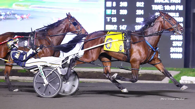 Chasing Gold: Fergus Trainer Prepares for Saturday's Gold Cup and Saucer Showdown