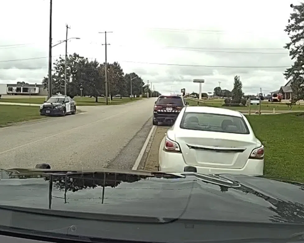 Impaired Driver Arrested in Wellington North