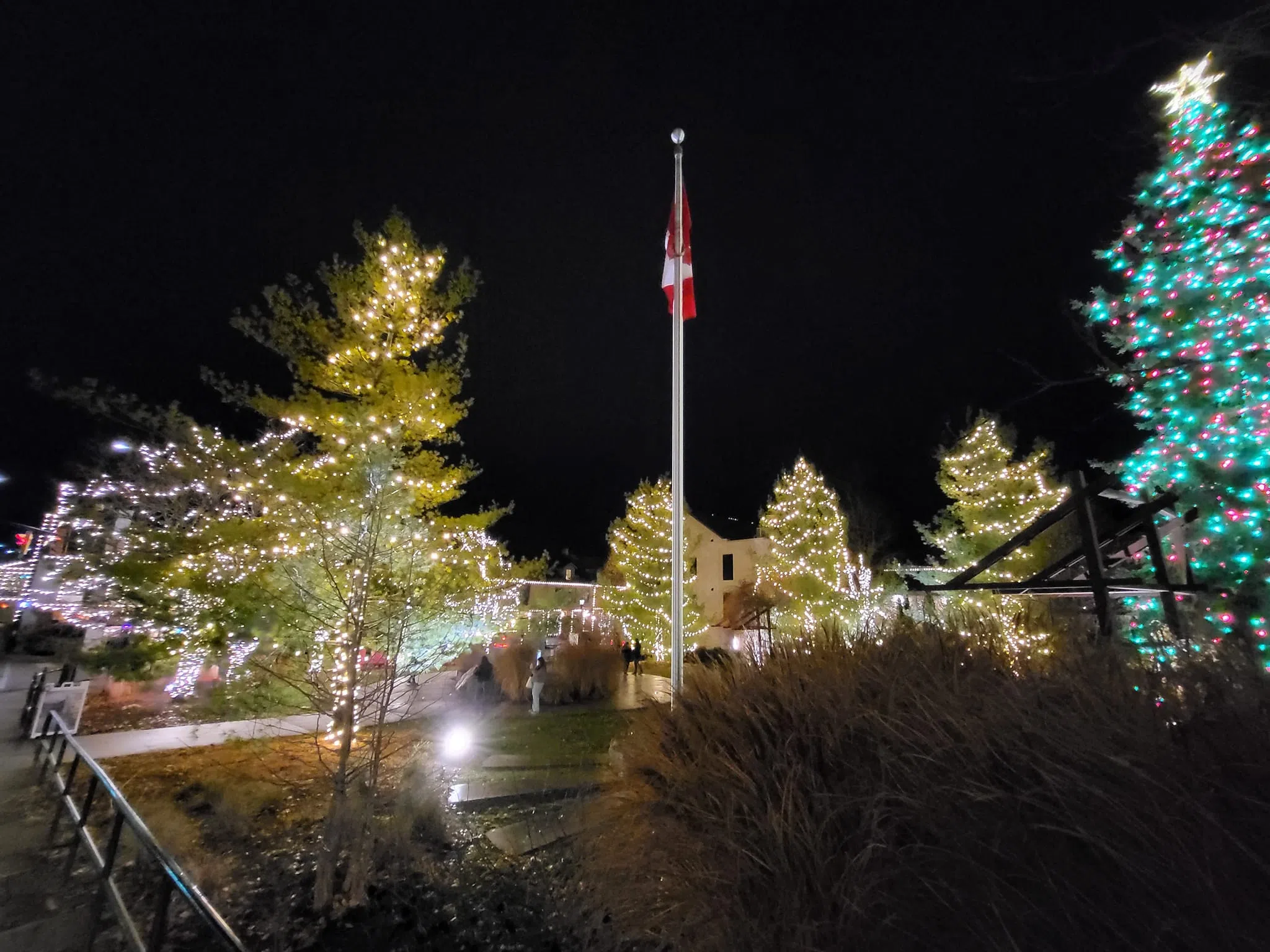 Elora Winter Lights Move Ahead with Reduced Township Funding