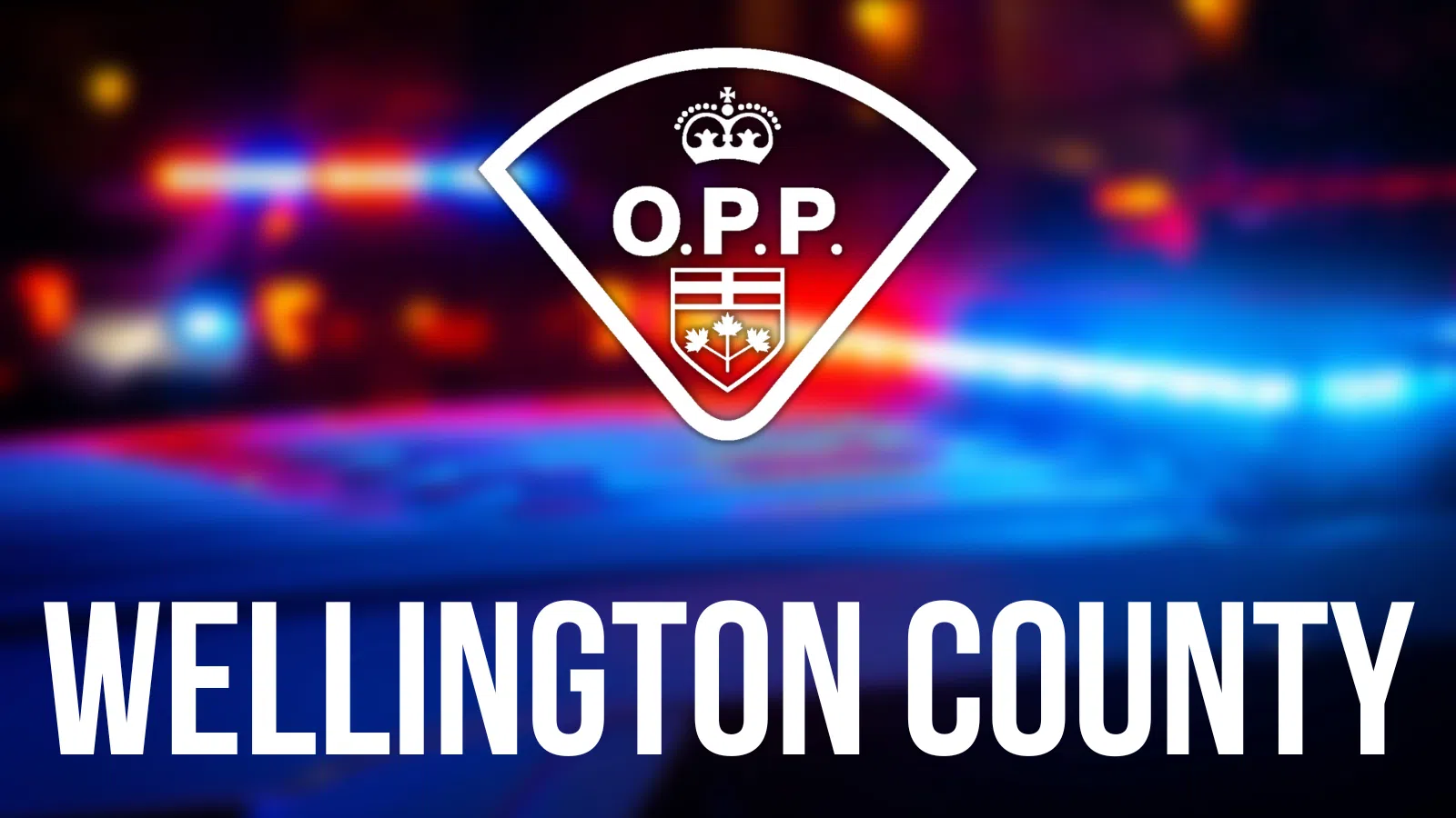 Shooting Investigation in Puslinch