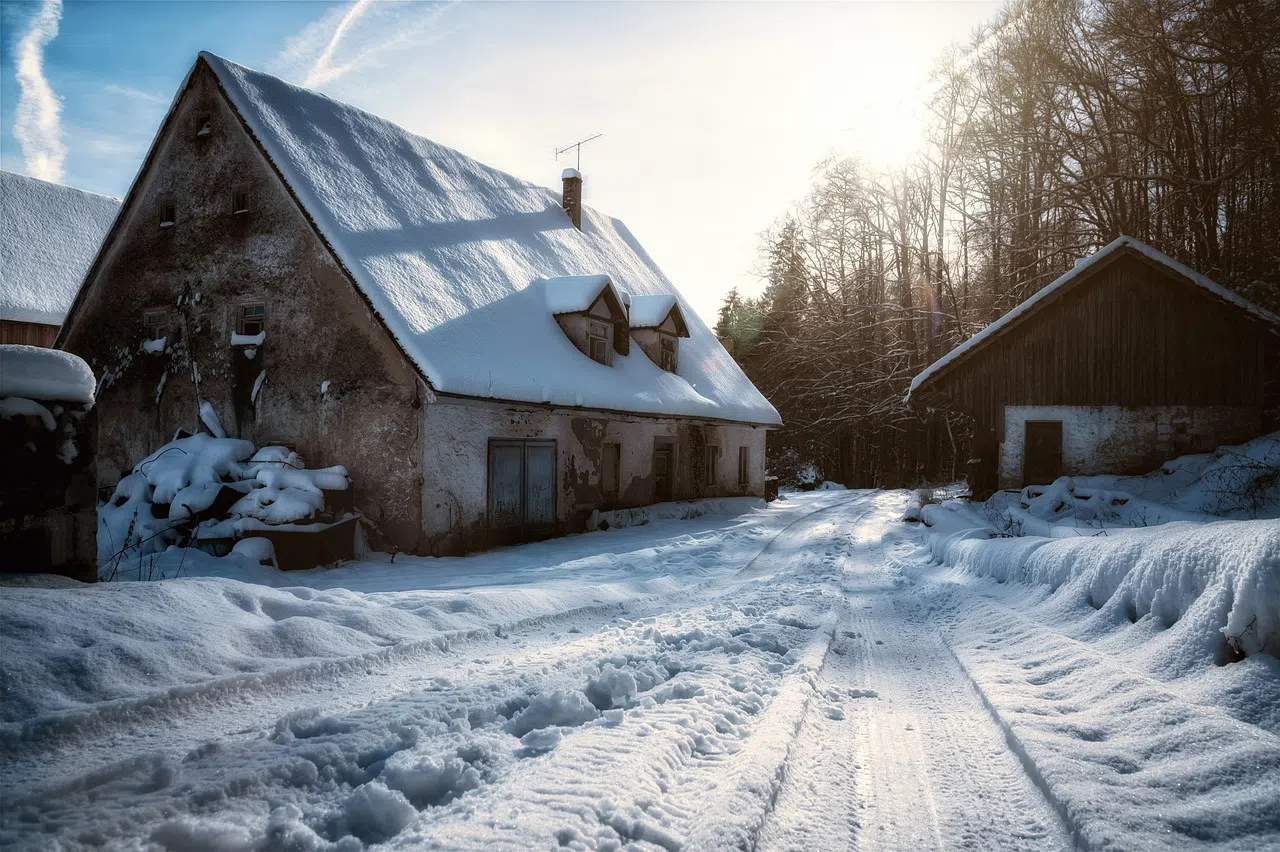 Bitter Cold Tests Local Farmers as Winter Drags On