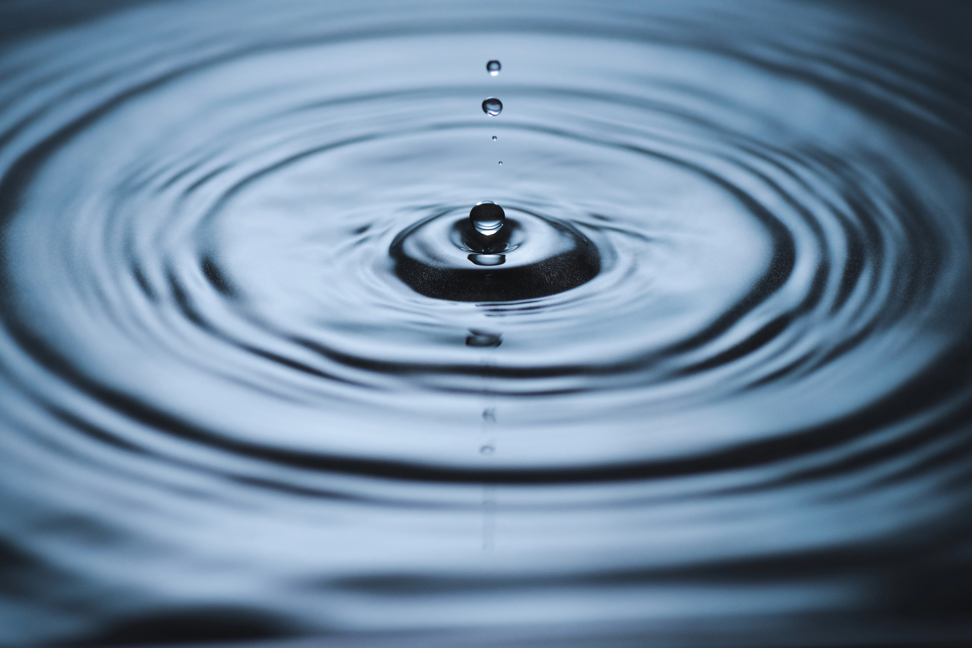 Wellington Water Watchers renew call to reject water-taking permits in Erin and Puslinch