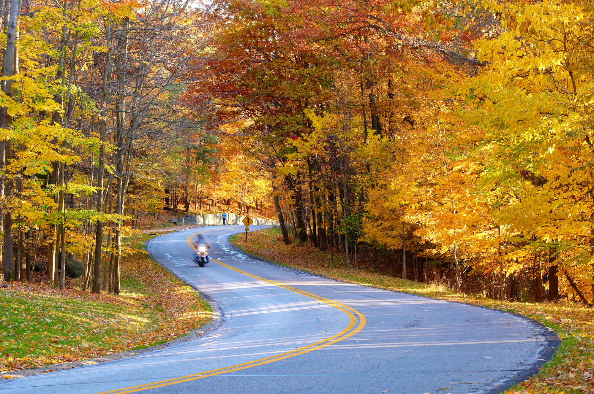 Wellington County OPP reminds motorcyclists of fall riding hazards