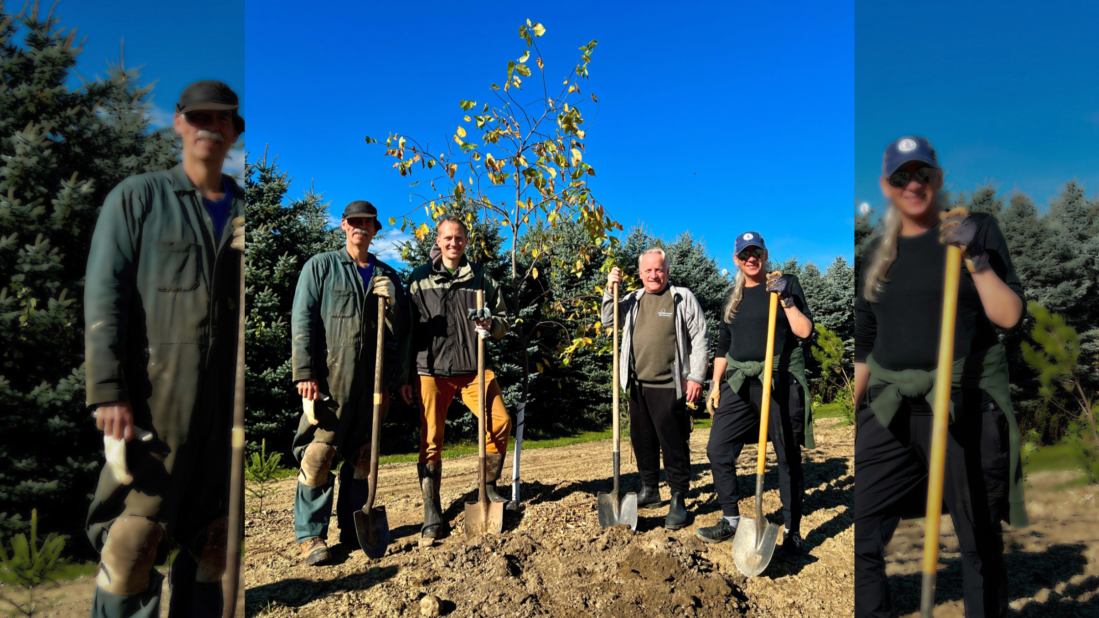 Wellington County plants more than 900 trees through Green Legacy